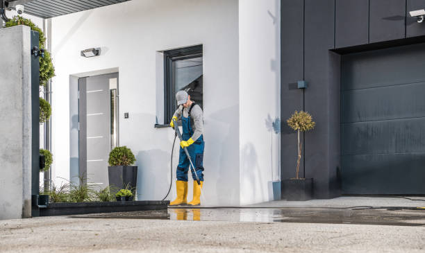 Best Rust Removal  in Burnham, PA